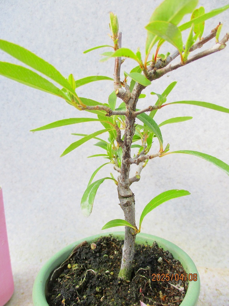item_image_10
