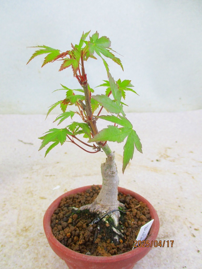 item_image_8