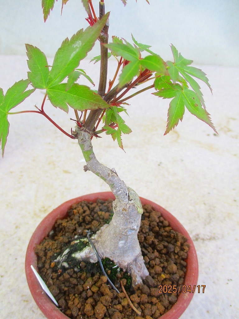 item_image_5