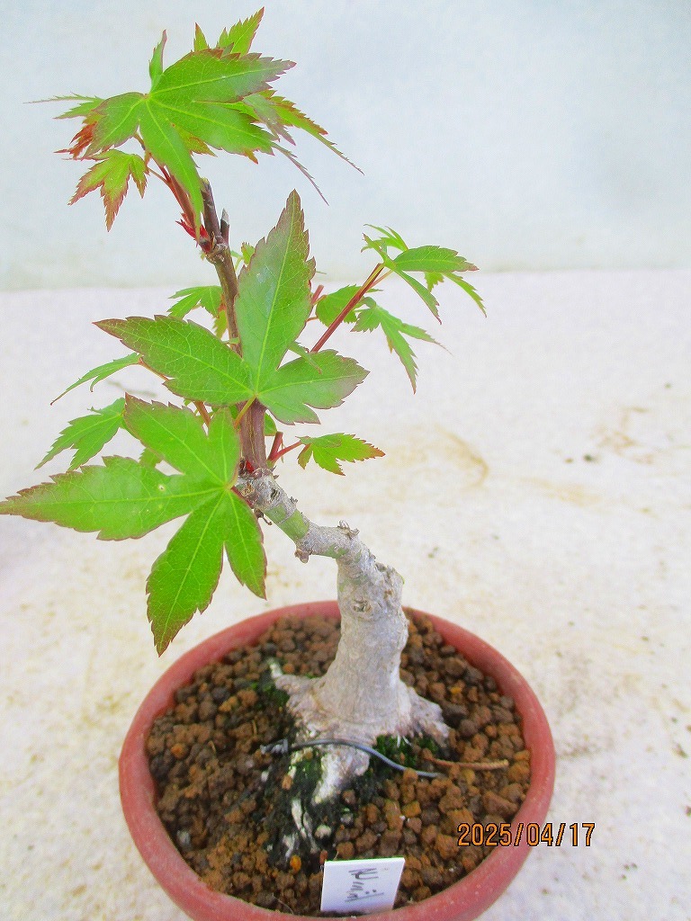item_image_6