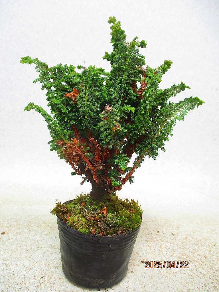 item_image_10