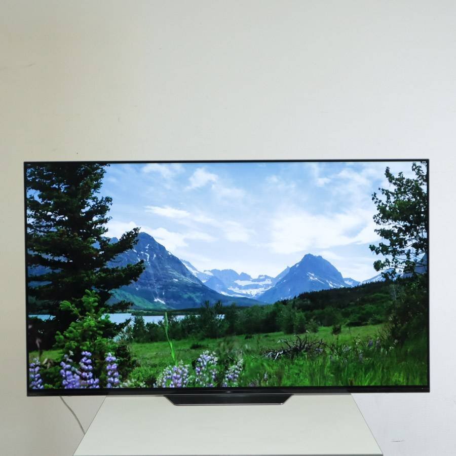 SONY ソニー ブラビア 4K 55インチ 有機(jī)ELテレビ KJ-55A8F 2018年制 リモコン付き【直接手渡し限定】▼171h10
