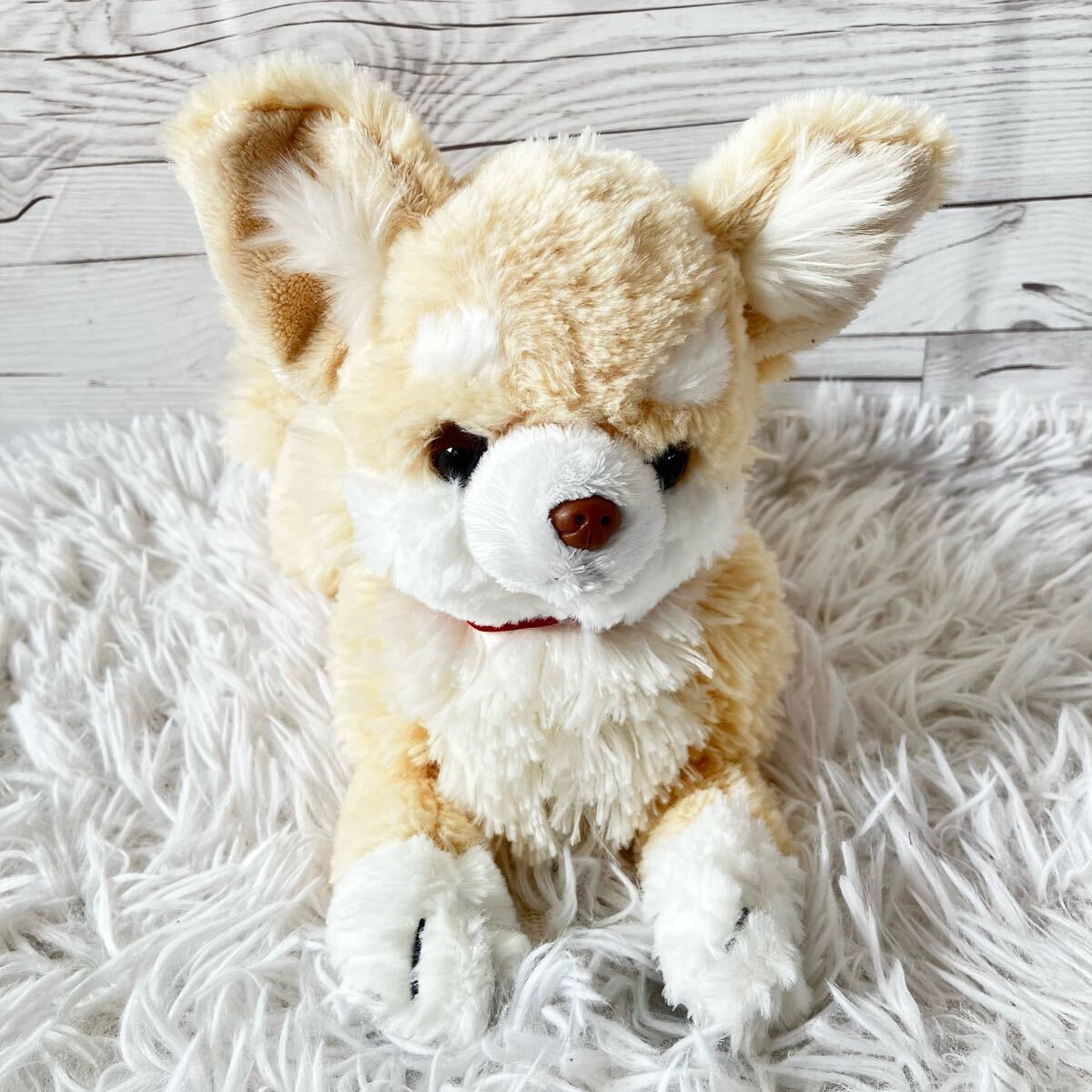 サンレモン ひざわんこ ぬいぐるみ チワワ ちわわ 犬 いぬ