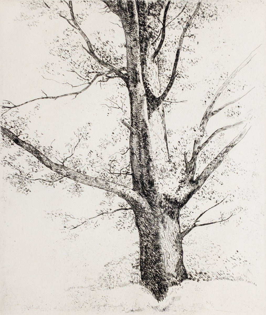 SHIN】駒井哲郎 「樹木 ルドンの素描による」 銅版画 'epreuve d SHIN】駒井哲郎 「樹木 ルドンの素描による」 銅版画 'epreuve d