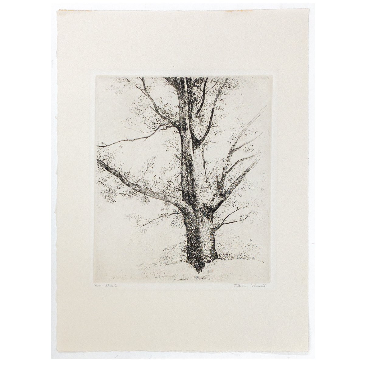 SHIN】駒井哲郎 「樹木 ルドンの素描による」 銅版画 'epreuve d SHIN】駒井哲郎 「樹木 ルドンの素描による」 銅版画 'epreuve d