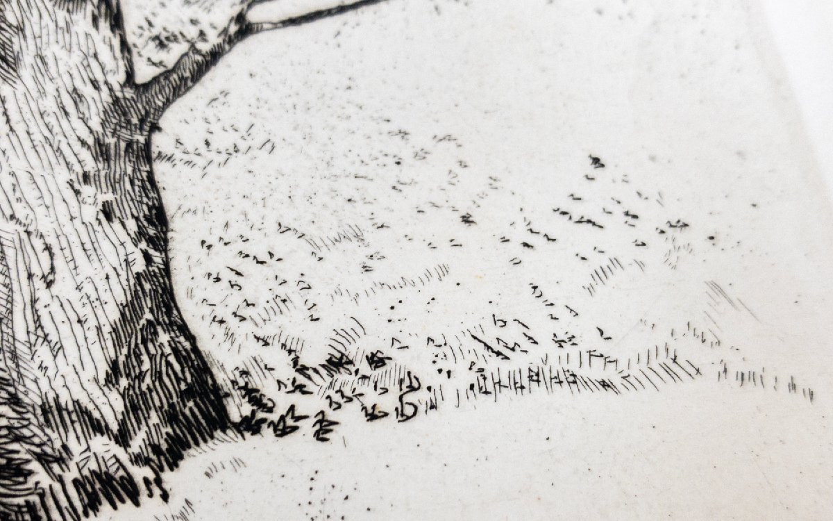 SHIN】駒井哲郎 「樹木 ルドンの素描による」 銅版画 'epreuve d SHIN】駒井哲郎 「樹木 ルドンの素描による」 銅版画 'epreuve d