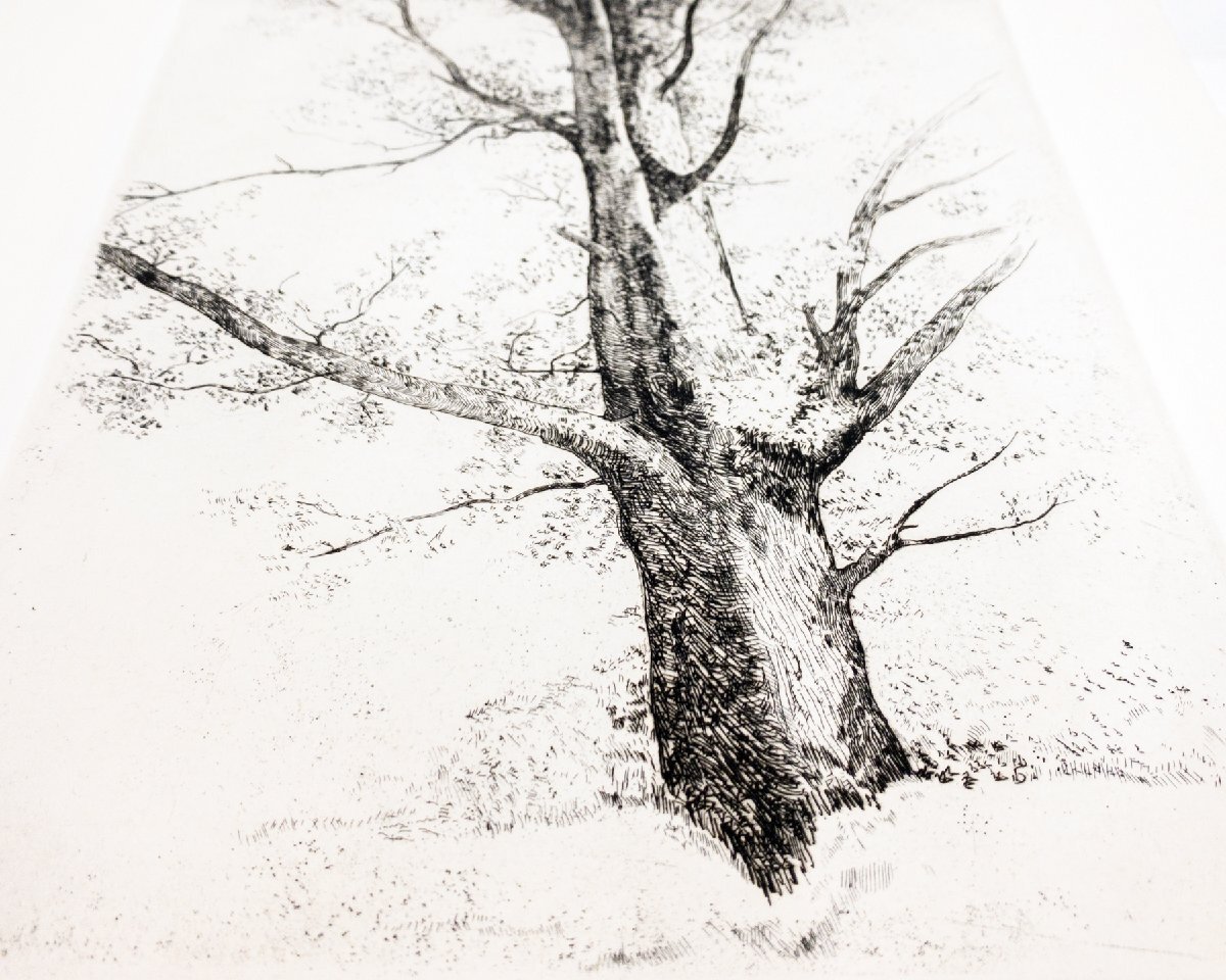 SHIN】駒井哲郎 「樹木 ルドンの素描による」 銅版画 'epreuve d SHIN】駒井哲郎 「樹木 ルドンの素描による」 銅版画 'epreuve d