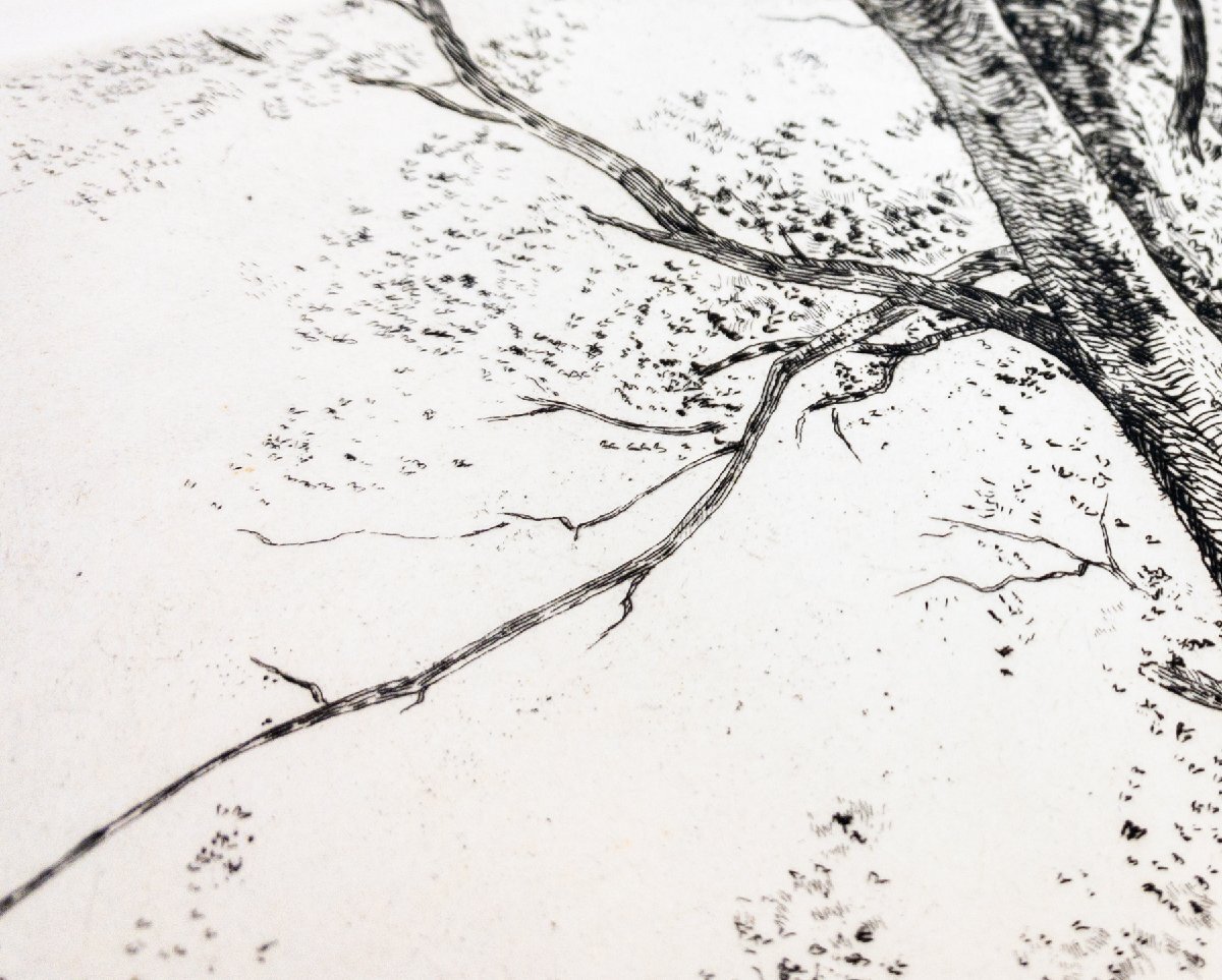 SHIN】駒井哲郎 「樹木 ルドンの素描による」 銅版画 'epreuve d SHIN】駒井哲郎 「樹木 ルドンの素描による」 銅版画 'epreuve d