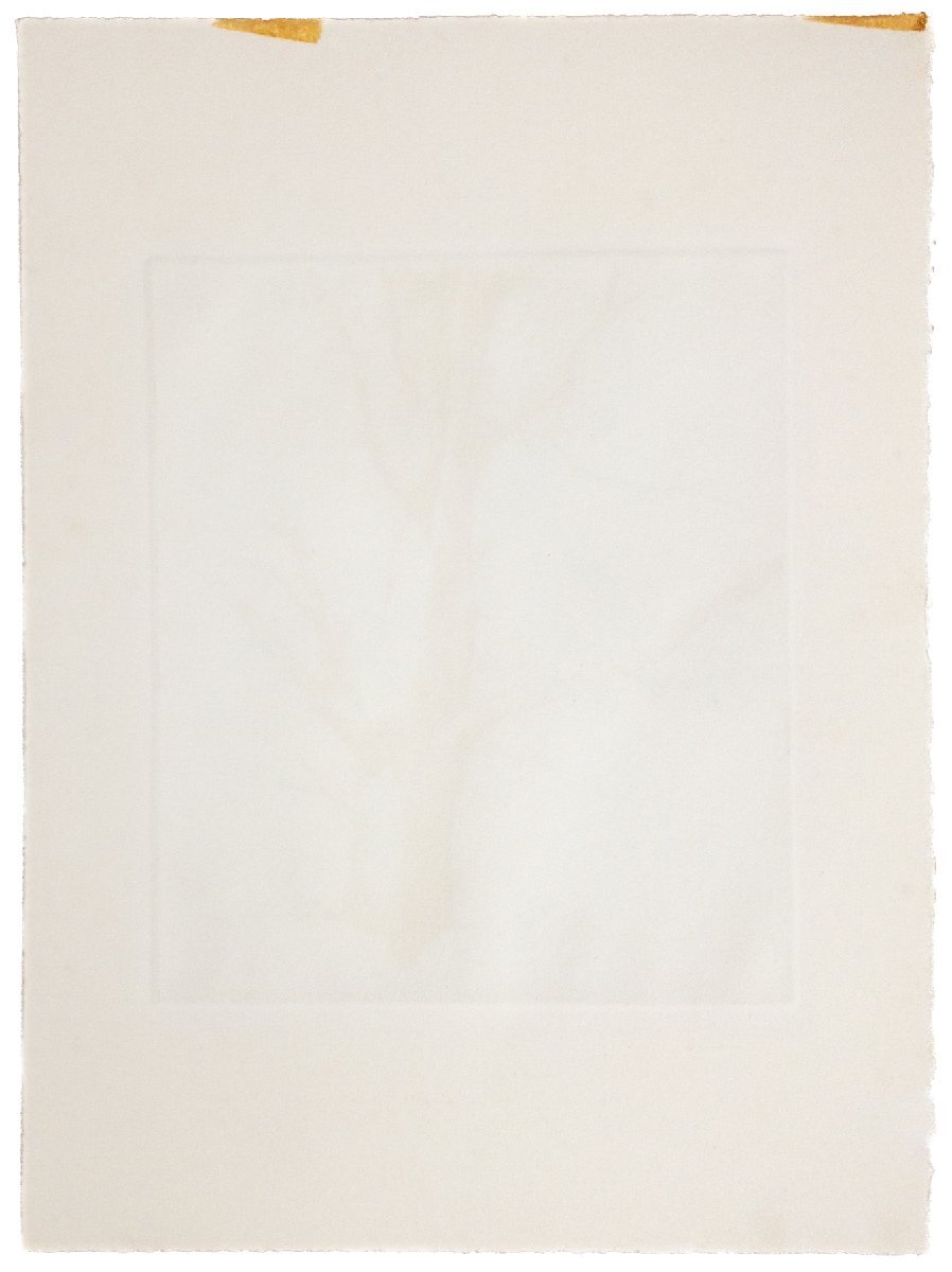 SHIN】駒井哲郎 「樹木 ルドンの素描による」 銅版画 'epreuve d SHIN】駒井哲郎 「樹木 ルドンの素描による」 銅版画 'epreuve d