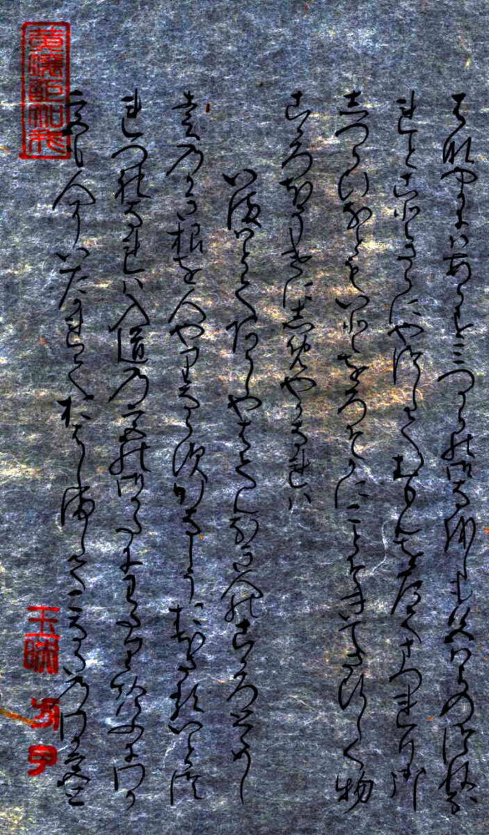 原本の断層画像写真