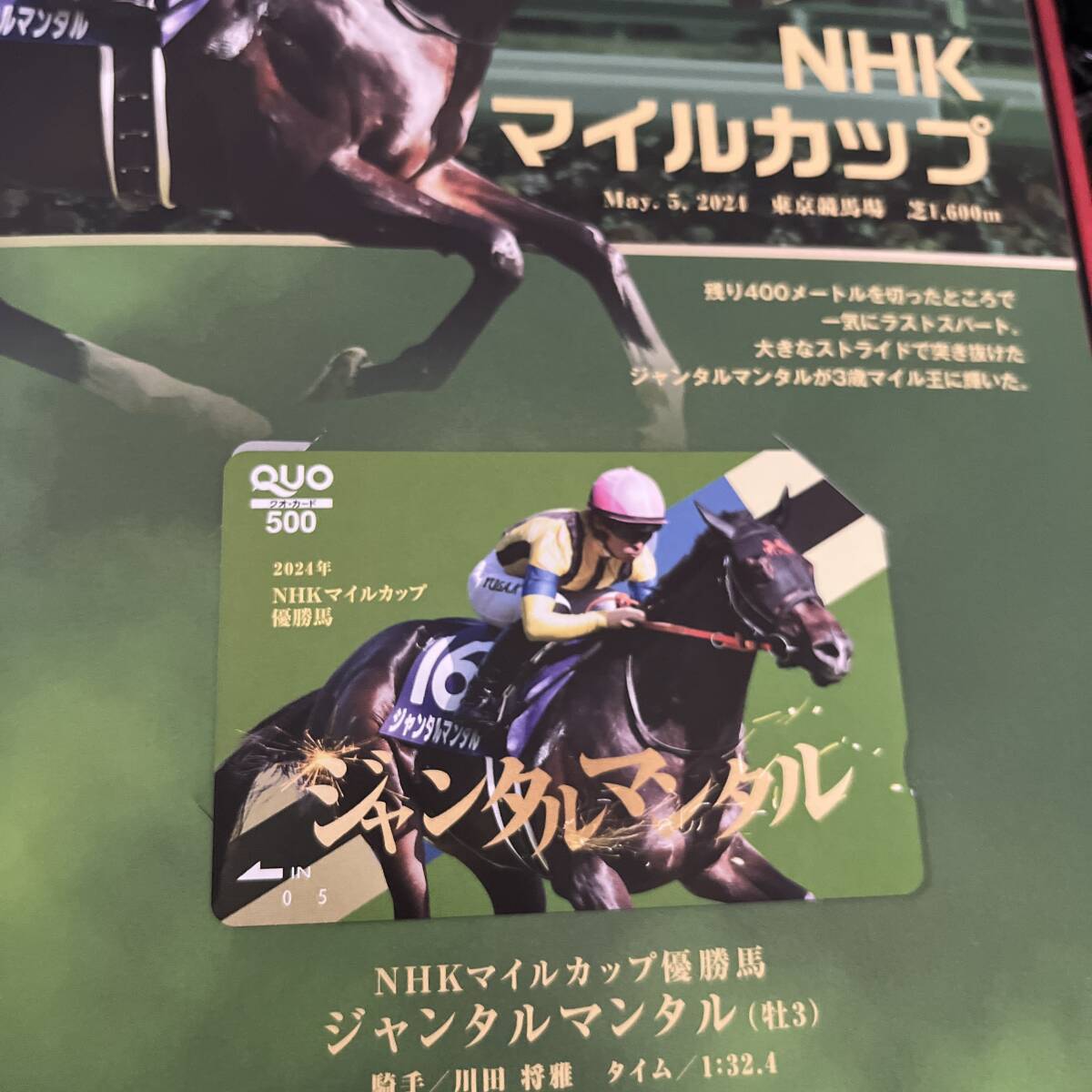 JRA 2024年 有馬記念キャンペーン A賞当選品 QUOカード26種 JRA 2024年 有馬記念キャンペーン A賞当選品 QUOカード26種