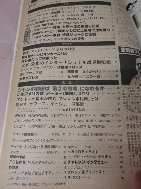 「DELUXEプロレス 1980.7」デラプロ 原 鶴田 猪木対ハンセン アンドレ ピンナップ切り取り ベースボールマガジン社 _画像9