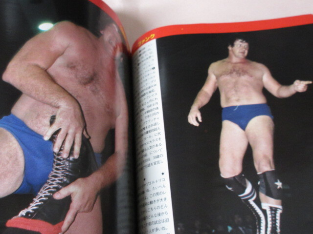 「THE DIRECTORY OF TOP WRESTLER'S 81」1981年発行　米マット?トップレスラー81人　別冊(cè)プロレス　ベースボールマガジン社