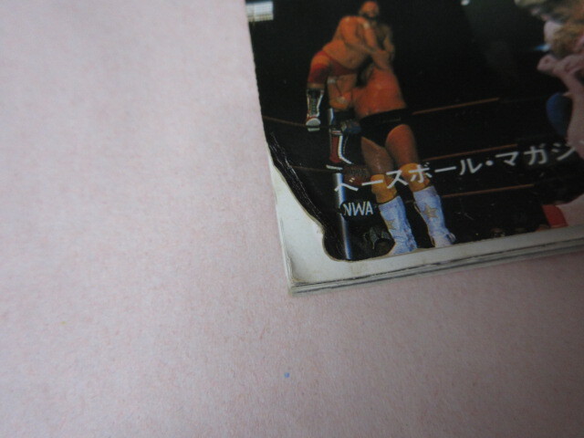 「THE DIRECTORY OF TOP WRESTLER'S 81」1981年発行　米マット?トップレスラー81人　別冊(cè)プロレス　ベースボールマガジン社