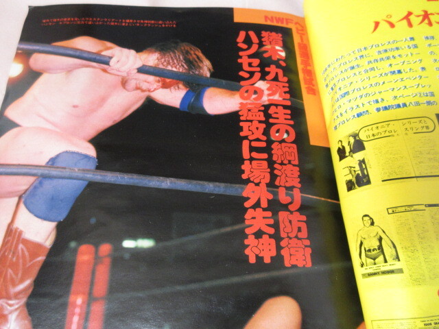 「DELUXEプロレス 1980.7」デラプロ 原 鶴田 猪木対ハンセン アンドレ ピンナップ切り取り ベースボールマガジン社 _画像4