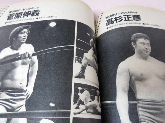 「DELUXEプロレス 1980.7」デラプロ 原 鶴田 猪木対ハンセン アンドレ ピンナップ切り取り ベースボールマガジン社 _画像7