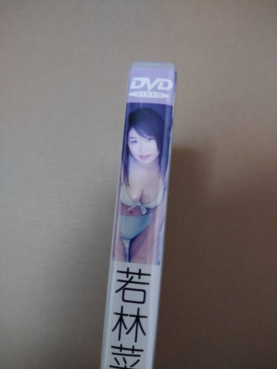  Wakabayashi Namiko position образ DVD