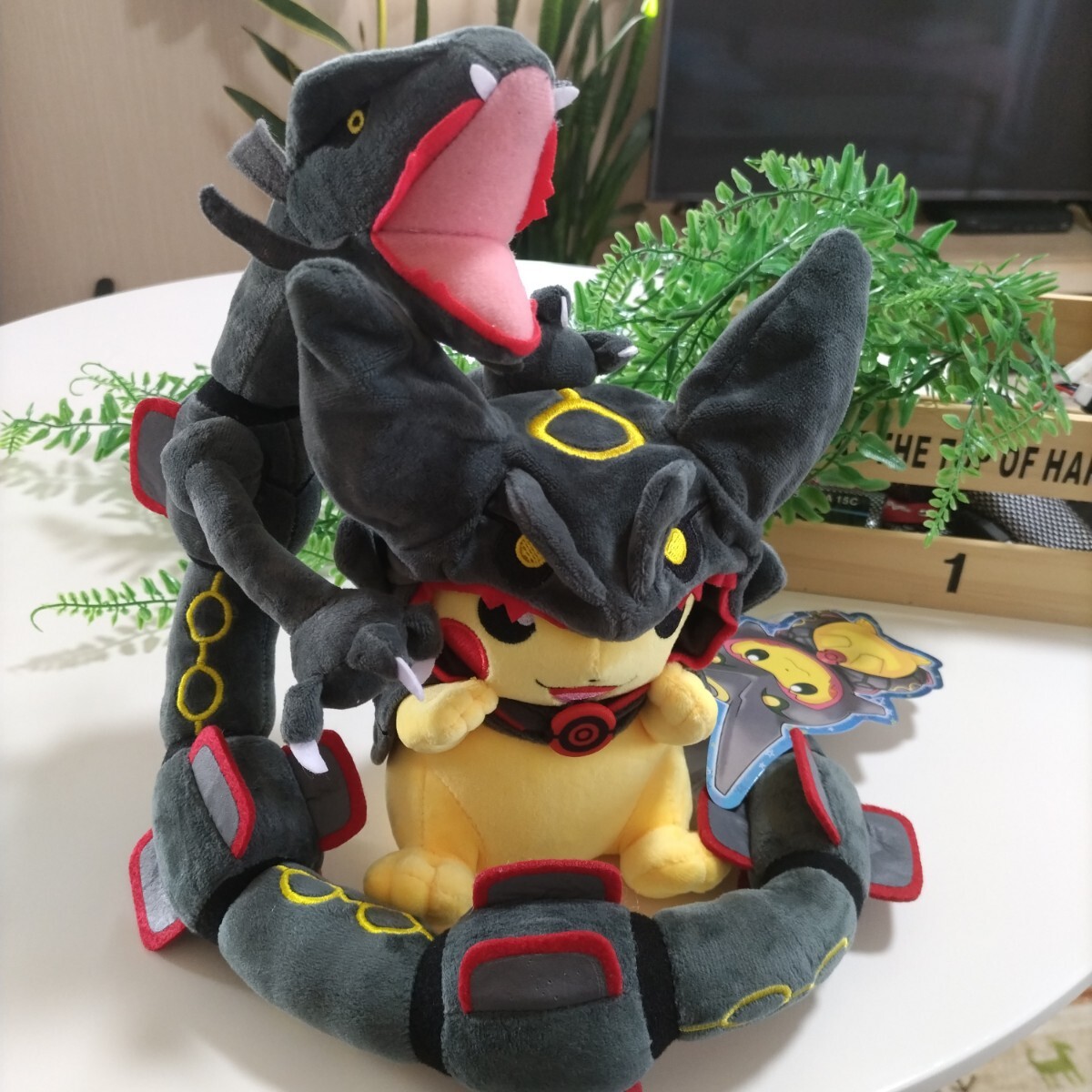 黒いレックウザのポンチョを着たピカチュウと黒いレックウザ 黒いレックウザのポンチョを着たピカチュウと黒いレックウザ