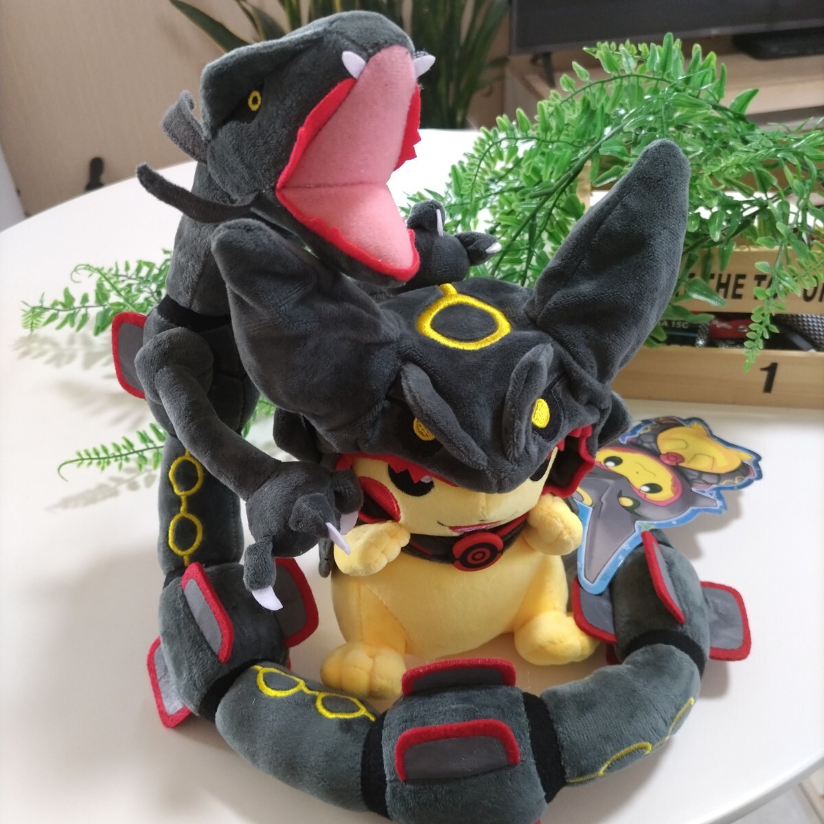 黒いレックウザのポンチョを着たピカチュウと黒いレックウザ 黒いレックウザのポンチョを着たピカチュウと黒いレックウザ
