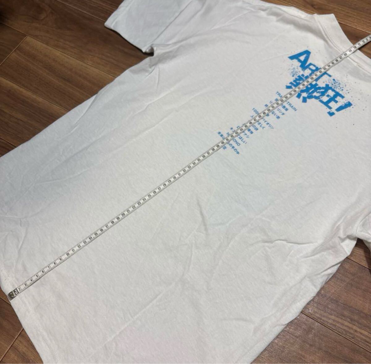 幻の逸品】THE BLUE HEARTS Tシャツ ブルーハーツ バンドTシャツ 幻の逸品】THE BLUE HEARTS Tシャツ ブルーハーツ バンドTシャツ