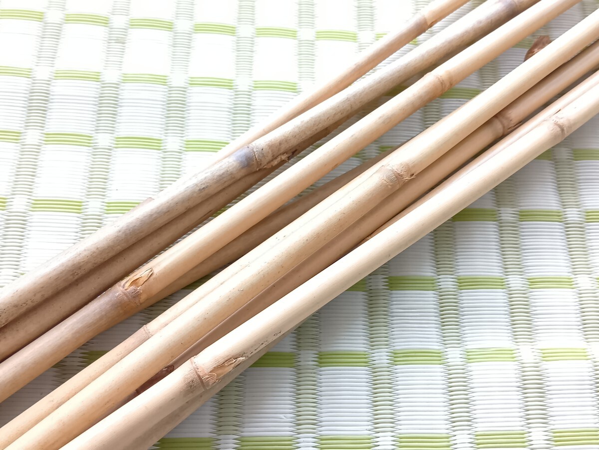 矢竹素材3番【10本】