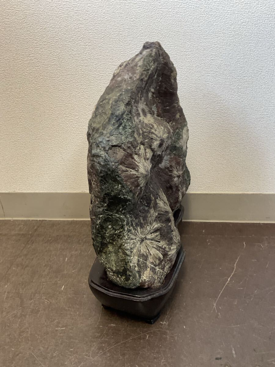 N 菊花石 台座付 鑑賞石 天然石 自然石 鉱石 原石 盆石 水石 N 菊花石 台座付 鑑賞石 天然石 自然石 鉱石 原石 盆石 水石