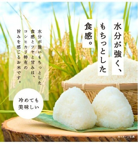 特別栽培米コシヒカリ あだちのめぐみ 農薬 化学肥料を50%以下 特別栽培米コシヒカリ あだちのめぐみ 農薬 化学肥料を50%以下