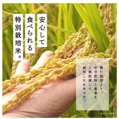 特別栽培米コシヒカリ あだちのめぐみ 農薬 化学肥料を50%以下 特別栽培米コシヒカリ あだちのめぐみ 農薬 化学肥料を50%以下