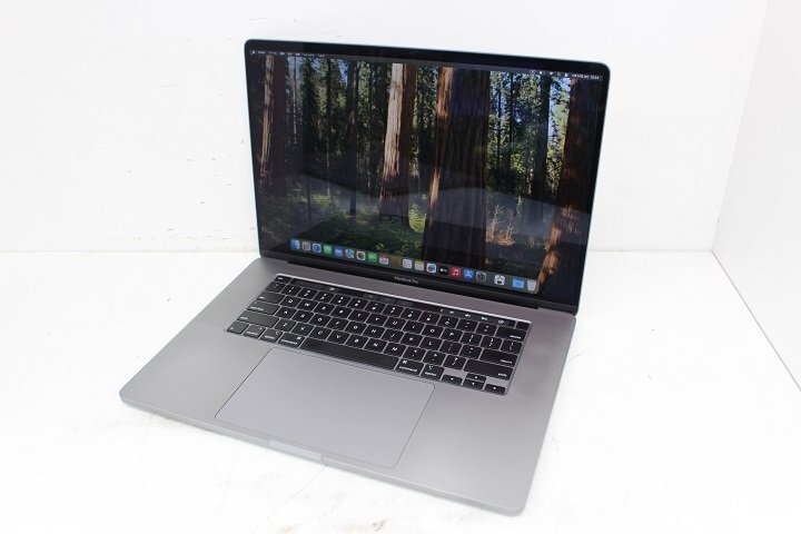 MacBook Pro 16-inch 2019 A2141 Core i9 9980HK 2.4GHz 8コア MacBook Pro 16-inch 2019 A2141 Core i9 9980HK 2.4GHz 8コア