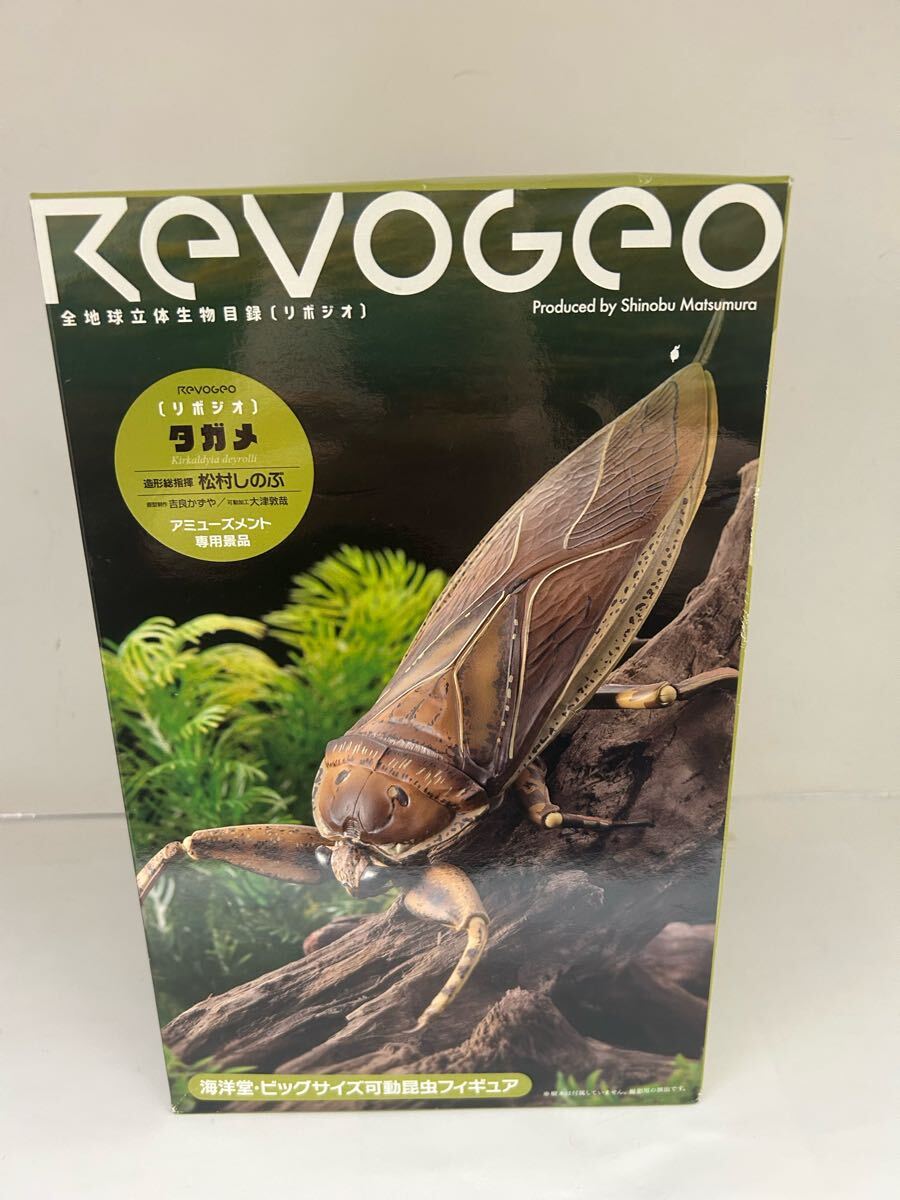 海洋堂 KAIYODO リボジオ タガメ REVO GEO 松村しのぶ ビッグ 海洋堂 KAIYODO リボジオ タガメ REVO GEO 松村しのぶ ビッグ