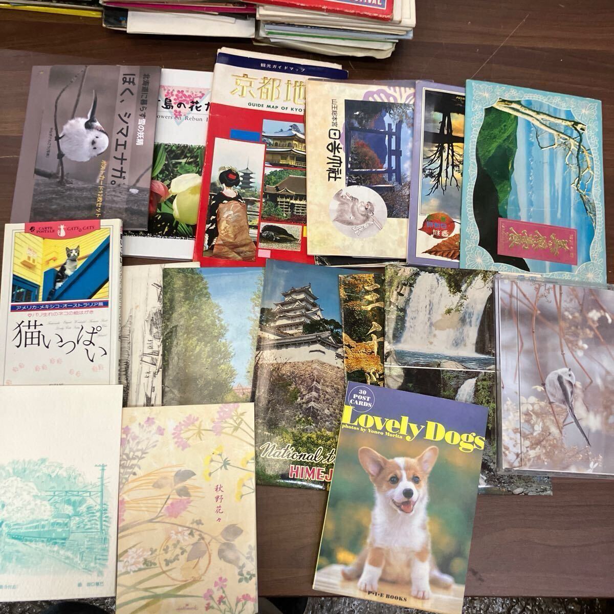 絵はがき 絵葉書 観光地 昭和レトロ 当時物 観光名所 風景 名所 絵はがき 絵葉書 観光地 昭和レトロ 当時物 観光名所 風景 名所
