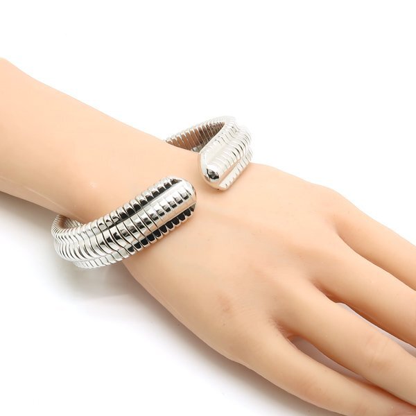 美品 orgone オルゴンリング バングル ブレスレット シルバー系