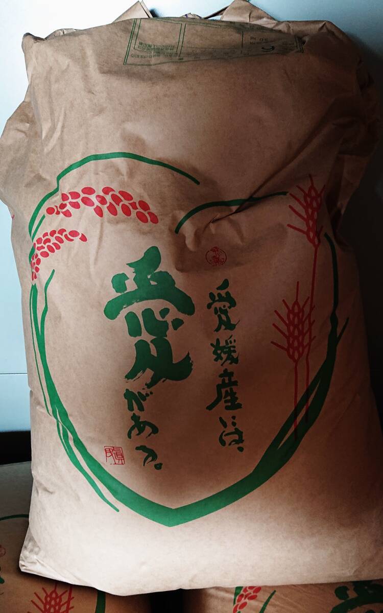 愛媛県産ヒノヒカリお米10㎏、冷蔵庫保管、玄米(玄米)|売買され 愛媛県産ヒノヒカリお米10㎏、冷蔵庫保管、玄米(玄米)|売買され