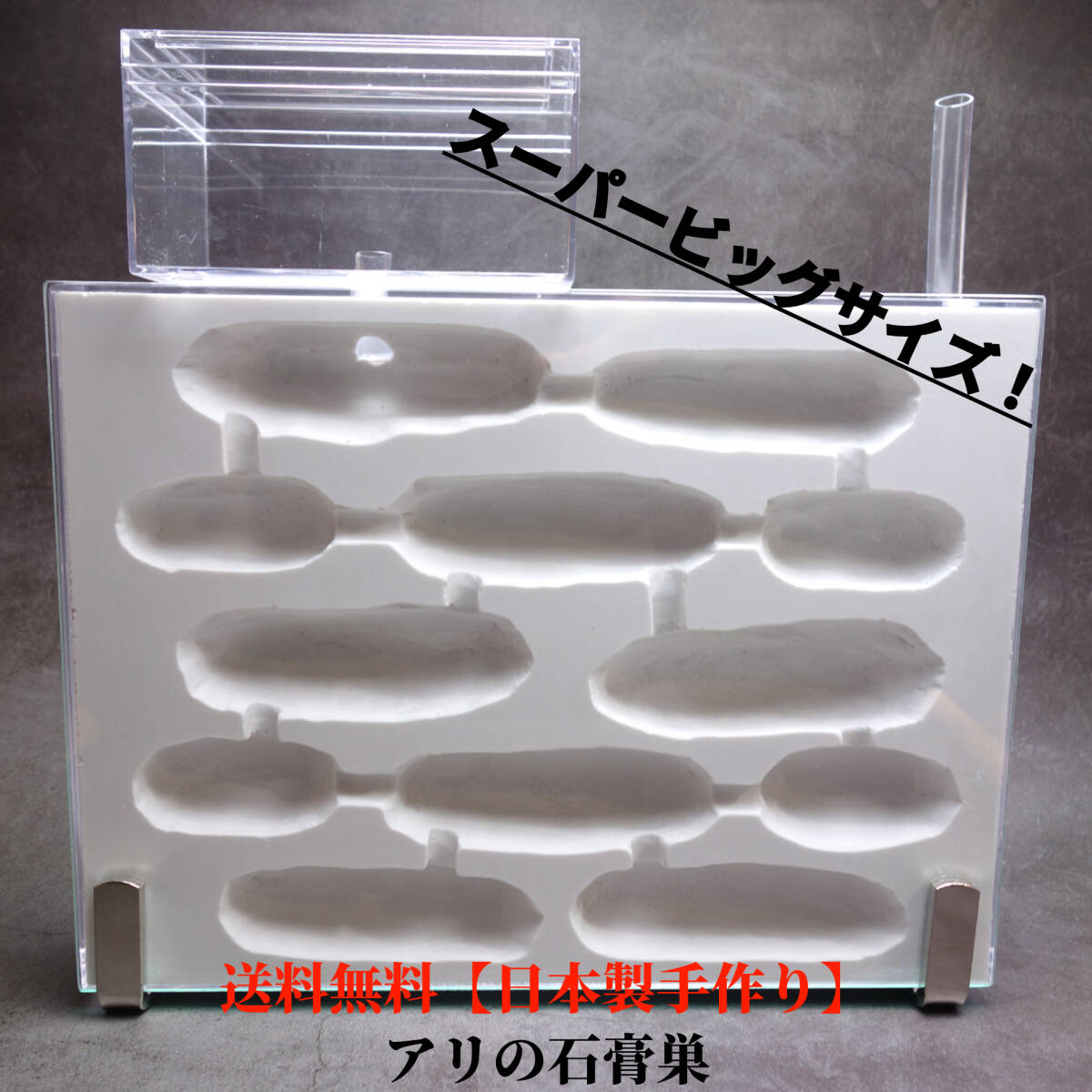 ★送料無(wú)料★スーパービッグ　アリの巣　蟻の巣　石膏　付屬品多數(shù)！
