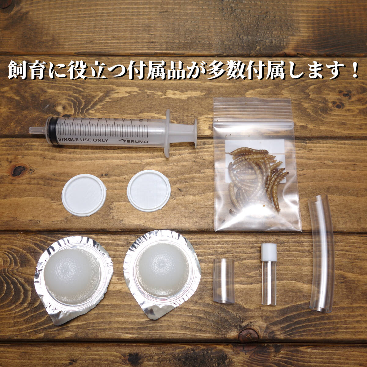 ★送料無(wú)料★スーパービッグ　アリの巣　蟻の巣　石膏　付屬品多數(shù)！