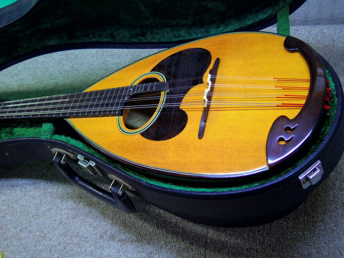 SUZUKI VIOLIN 鈴木バイオリン マンドリン 約63㎝ ハードケース SUZUKI VIOLIN 鈴木バイオリン マンドリン 約63㎝ ハードケース