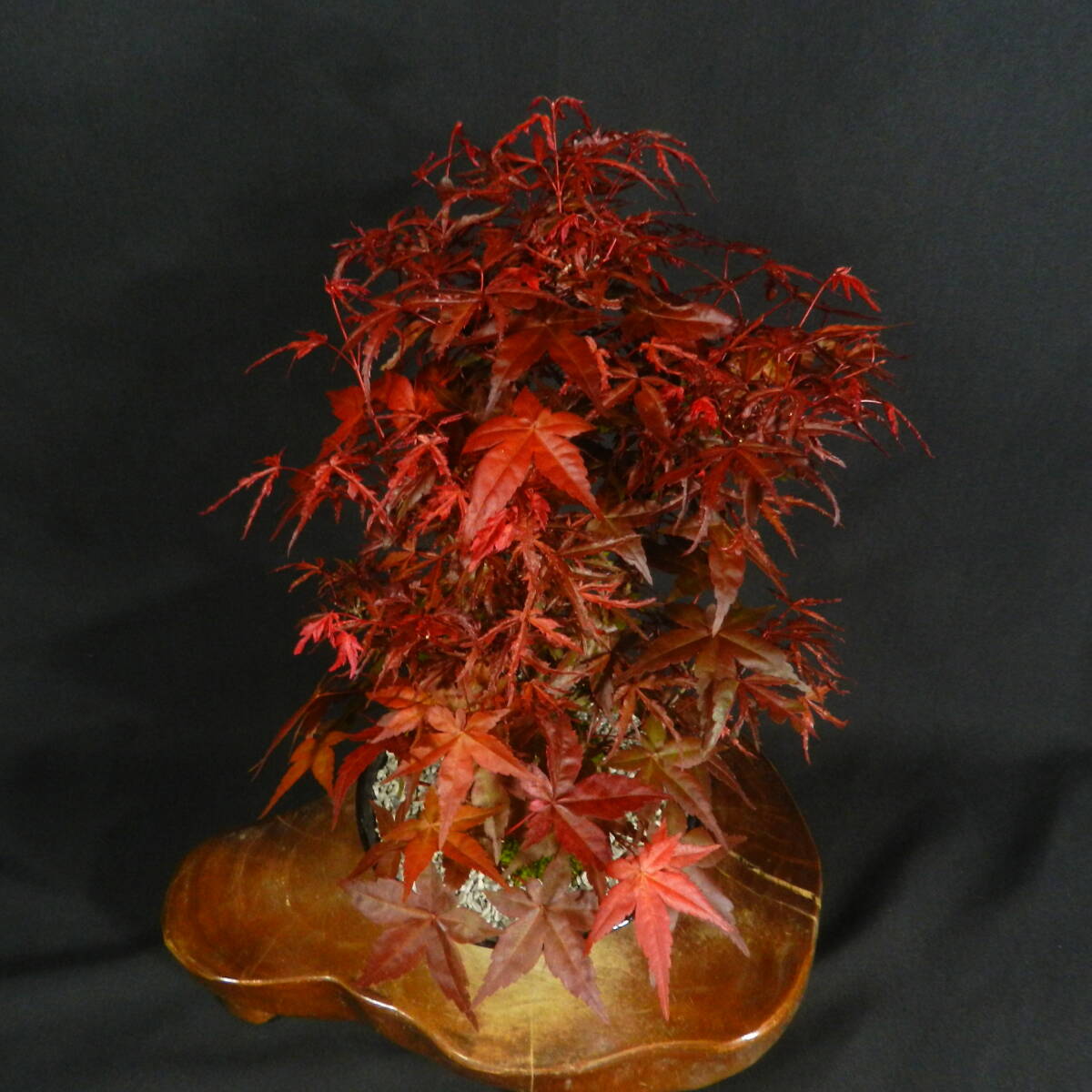 item_image_10