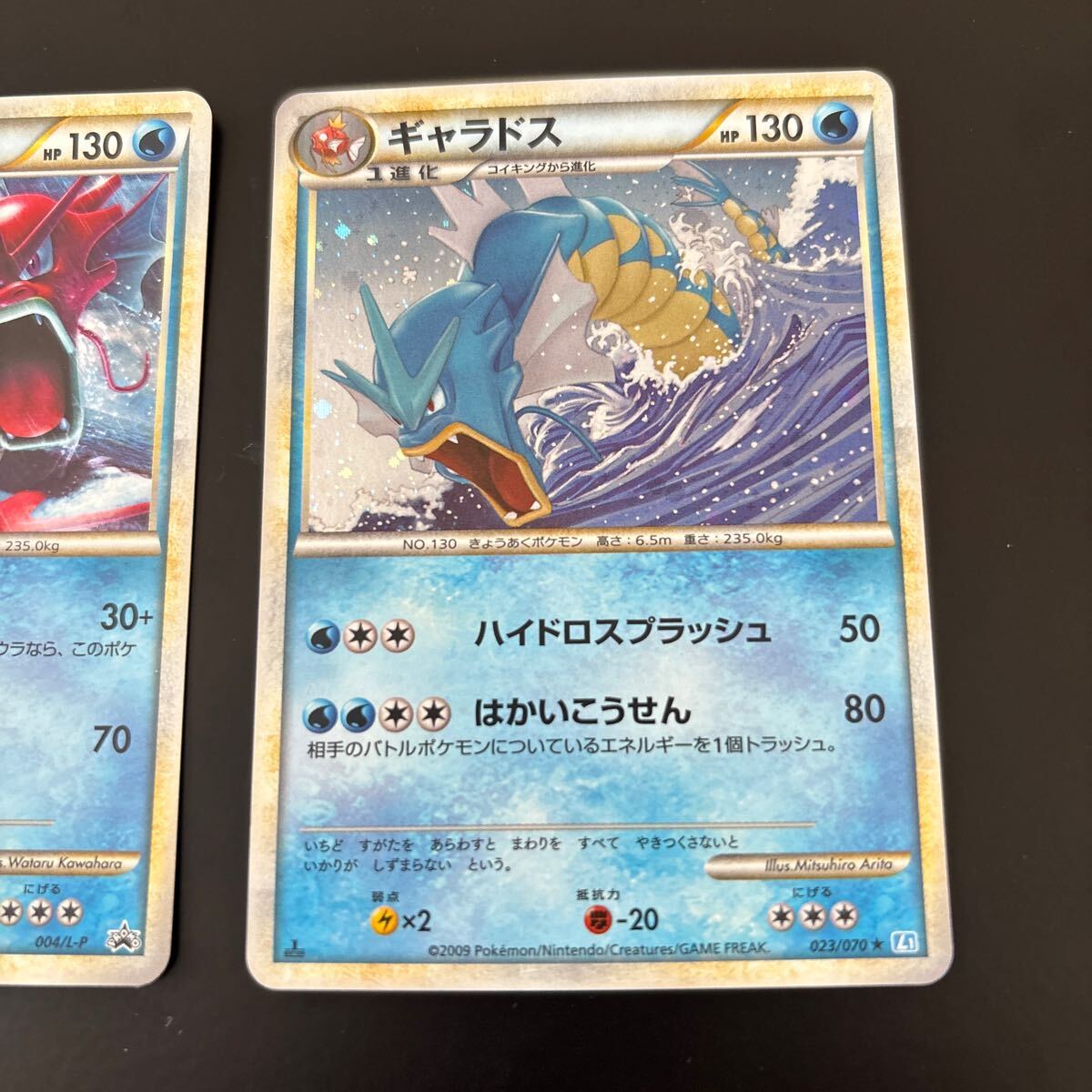 ポケモンカード 色違い ノーマル ギャラドス 2枚セット 004/L-P ポケモンカード 色違い ノーマル ギャラドス 2枚セット 004/L-P