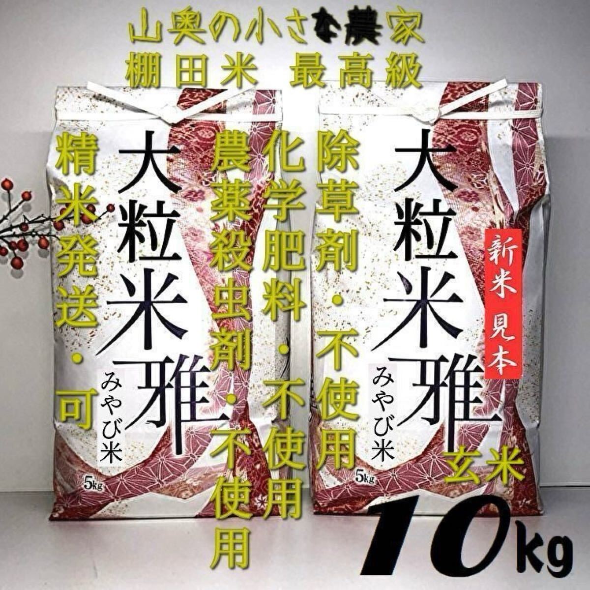 Yahoo!オークション - 自然栽培の大粒米ダイヤ/農薬 栽培期間中 Yahoo!オークション - 自然栽培の大粒米ダイヤ/農薬 栽培期間中