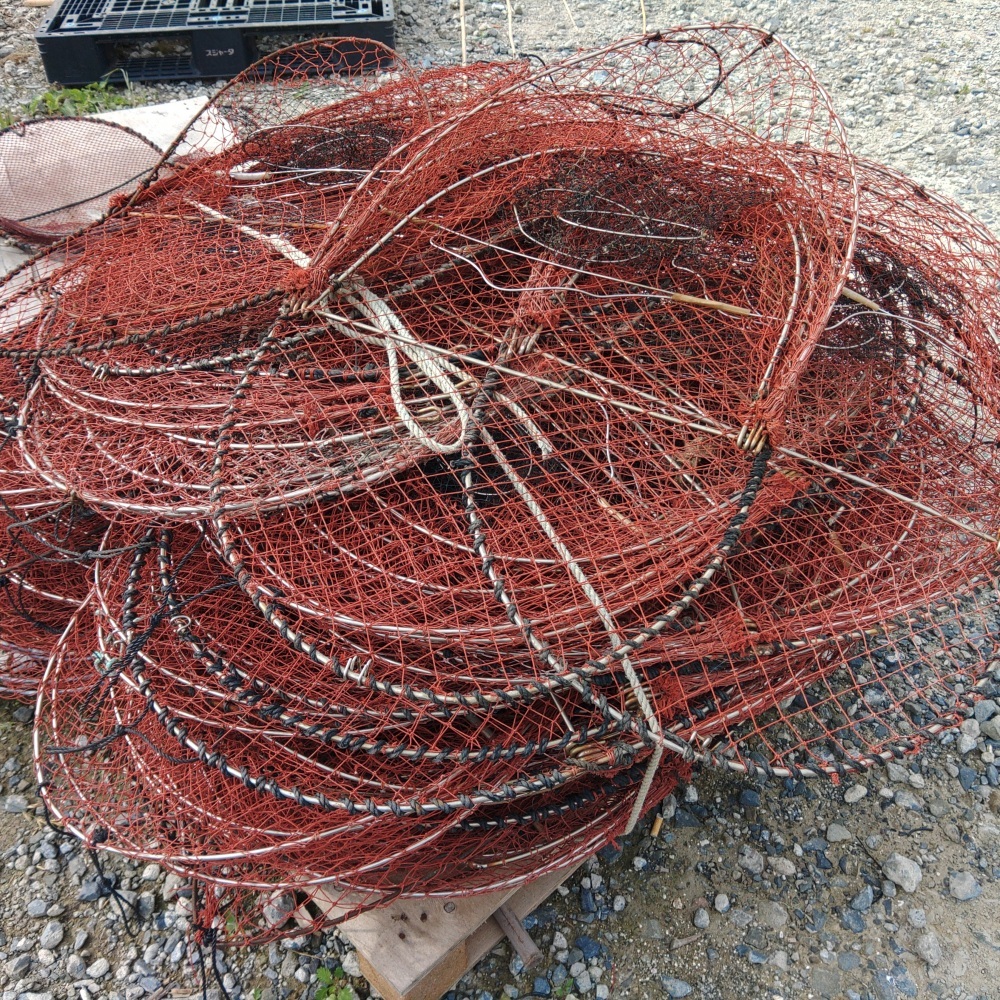 16枚セット 修理前提品 ワタリガニカゴ カニカゴ 蟹カゴ 蟹篭 魚 16枚セット 修理前提品 ワタリガニカゴ カニカゴ 蟹カゴ 蟹篭 魚