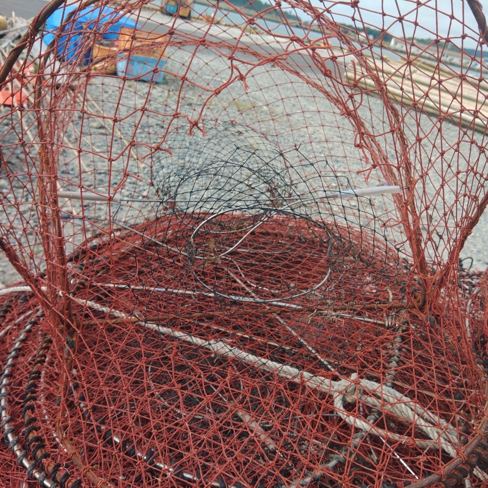 16枚セット 修理前提品 ワタリガニカゴ カニカゴ 蟹カゴ 蟹篭 魚 16枚セット 修理前提品 ワタリガニカゴ カニカゴ 蟹カゴ 蟹篭 魚