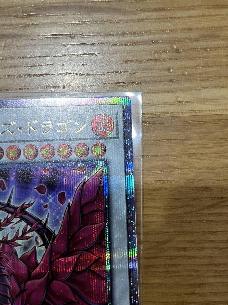 ブラック・ローズ・ドラゴン JP-003 25thシク シークレットレア ブラック・ローズ・ドラゴン JP-003 25thシク シークレットレア