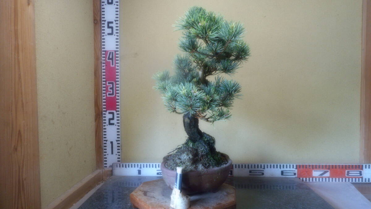item_image_6