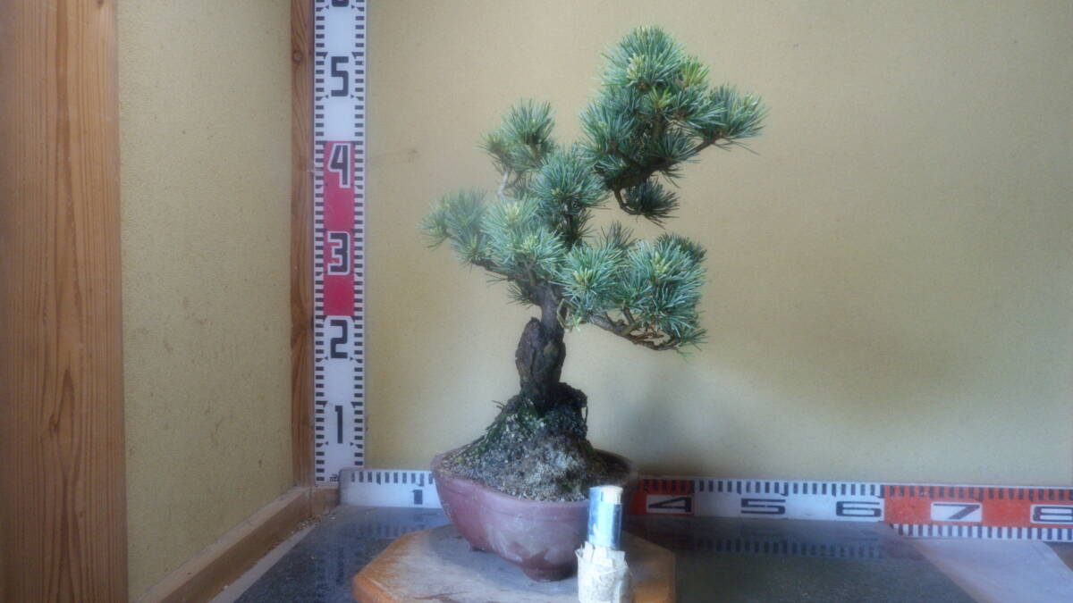 item_image_8