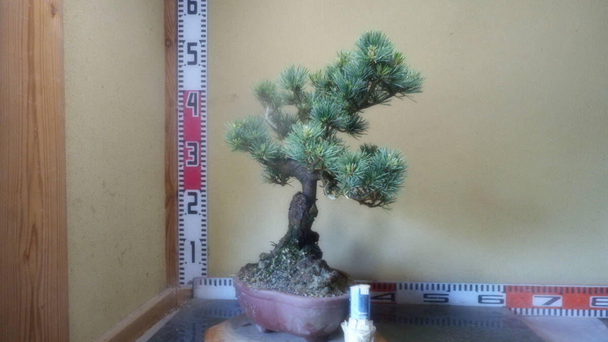 item_image_9
