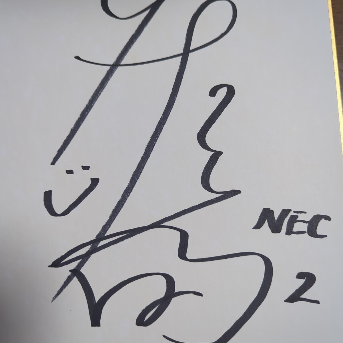 サイン色紙 NECレッドロケッツ#2 佐藤淑乃選手(バレーボール サイン色紙 NECレッドロケッツ#2 佐藤淑乃選手(バレーボール