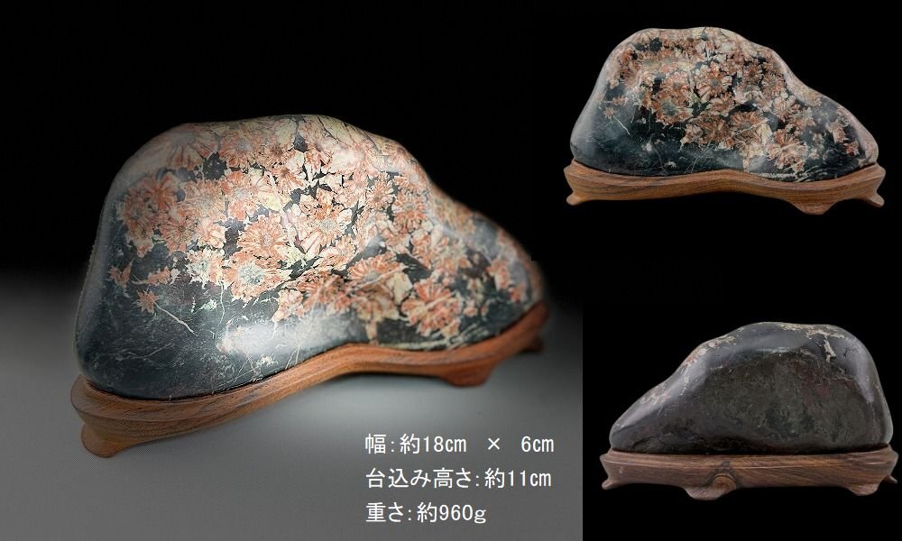 25040701菊花石 鑑賞石置物 桜模様 重960g 唐木台 時代石細工 25040701菊花石 鑑賞石置物 桜模様 重960g 唐木台 時代石細工