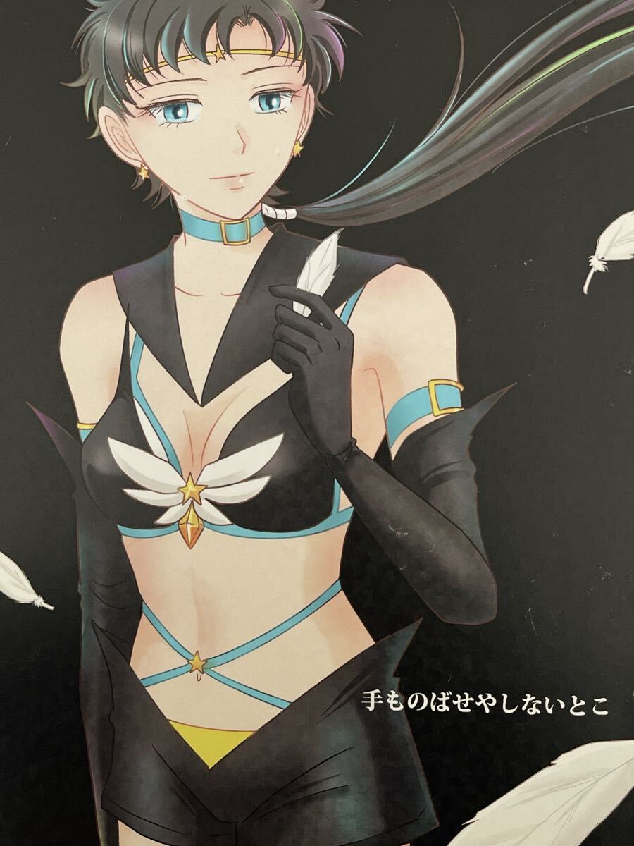 美少女戦士セーラームーン 同人誌 スターライツ 星野光 夜天光 美少女戦士セーラームーン 同人誌 スターライツ 星野光 夜天光