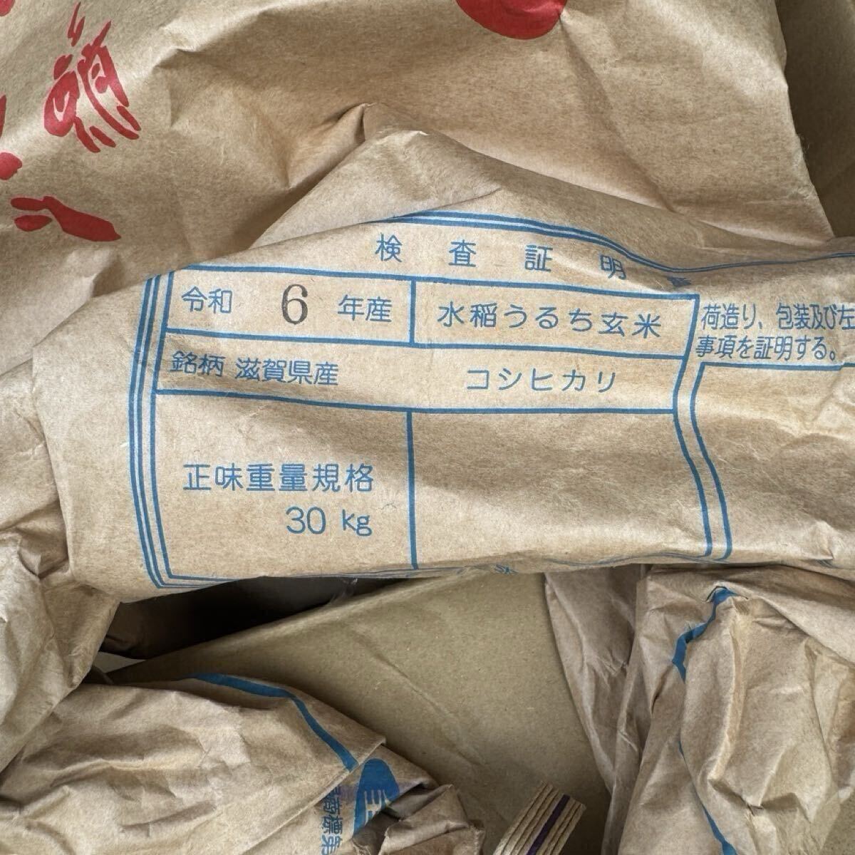 近江米 送料込み! 30kg玄米 令和6年産 新米 滋賀県高島市産 近江米 送料込み! 30kg玄米 令和6年産 新米 滋賀県高島市産