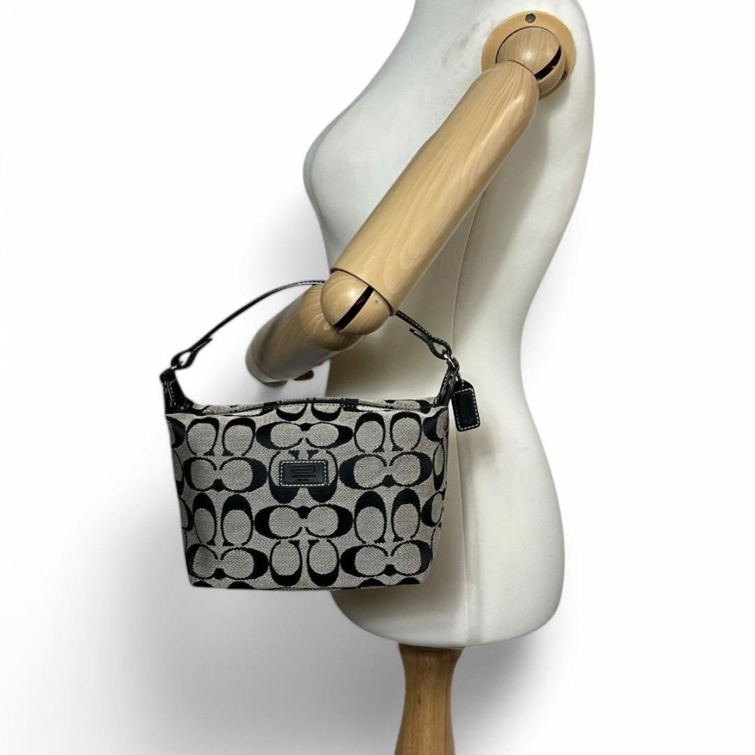 美品 COACH コーチ アクセサリーポーチ ハンドバッグ レザー 美品 COACH コーチ アクセサリーポーチ ハンドバッグ レザー